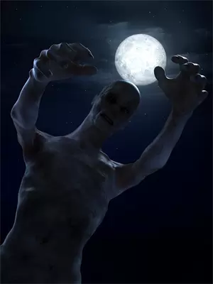 昼夜的交界线