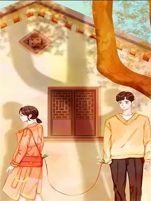 今日喜事,为夫纳妾的意思