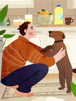 免费小说箫韫云裳
